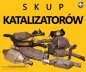 SKUP KATALIZATOROW tel 660-147-150