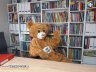 TEDDY EDDIE  - ANGIELSKI DLA DZIECI ...