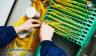 Technik instalacji �wiat�owodowych  ...